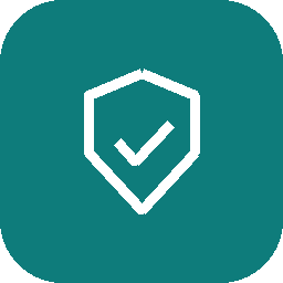 Program Governance and Recovery